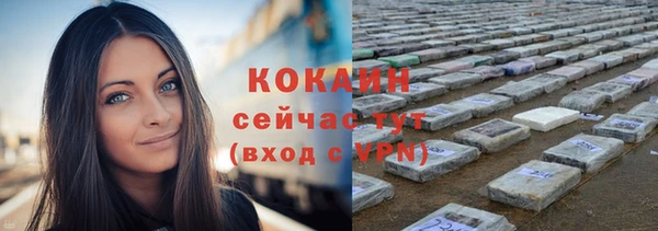 шишки Тавда