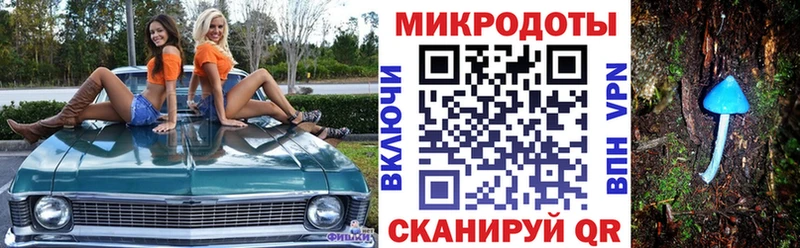 где можно купить   сайты даркнета формула  Псилоцибиновые грибы Psilocybine cubensis  Биробиджан 