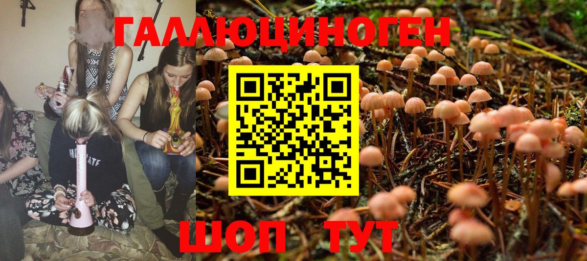 Галлюциногенные грибы Magic Shrooms Биробиджан